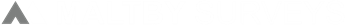 light logo